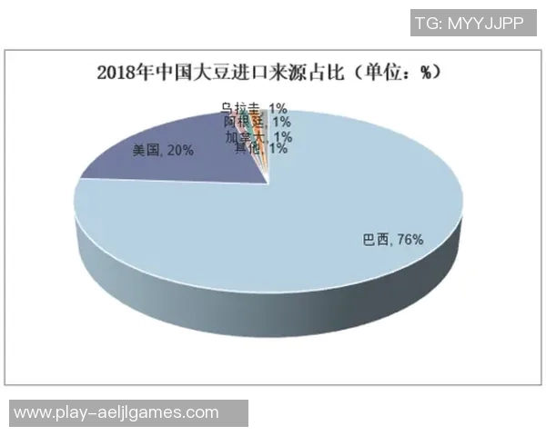 冠军杯赛季BLG团队协作表现分析与点评展望 冠军杯赛季BLG团队协作表现分析与点评展望